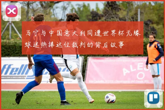 马宁与中国意大利同遭世界杯无缘球迷热捧这位裁判的背后故事